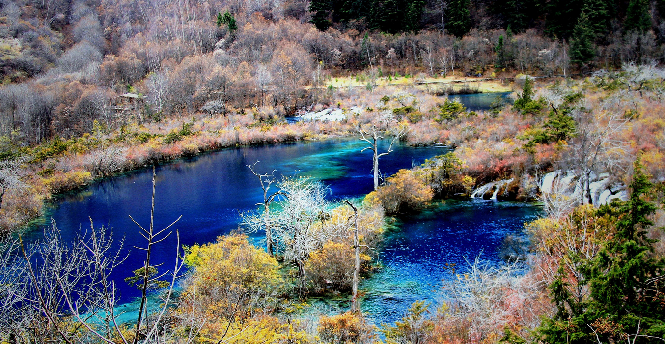 1. 交通出行,九寨沟景区的交通还是很方便的，可以选择多种交通方式前往九寨沟。如果是跟团游一般会有专车直达，而个人游则推荐自驾游和乘坐班车前往九寨沟。（自驾游的游客在开车时需要注意路况，九寨沟景区属高原地区，开车时多加注意）
2. 景区门票,九寨沟景区的收费门票包括门票和观光车票（九寨沟门票是一次性的，如果购票后走出景区，第二次进景区需要重新购票）景区门票可以提前在网上购票，到景区可以自动取票，无需排队。
3. 酒店住宿,因为景区内有规定不允许在九寨沟景区内住宿，所以游客们可以在九寨沟的附近预定酒店和民宿。（挑选酒店时可以选择丽九寨沟正门近一点的酒店，方便进景区旅游。）④ 季节气候,暑期去九寨沟要特别注意温度的变化，九寨沟地处高原，昼夜温差大。清晨和傍晚之后气温会下降的很快，会有些凉，最好带一件外套；而中午有太阳的时候也非常晒，需要做好防晒措施。⑤ 尊重当地少数民族禁忌,九寨沟景区是少数民族聚居的地方，所以在旅游的时候最好多加注意。例如在喝酥油茶的时候要等主人将茶捧给你的时候才可以接；不要用手去触摸藏族人的头等。⑥ 其他注意事项,出门旅游要带好相关证件；最好携带雨伞、雨衣以防突然下雨；携带应急药品，创可贴、退烧药、胃药等。今天给大家介绍了关于九寨沟景区的旅游攻略，大家可以结合自身情况参考一下，做好个性化的旅游攻略，拥有愉快的旅游行程。