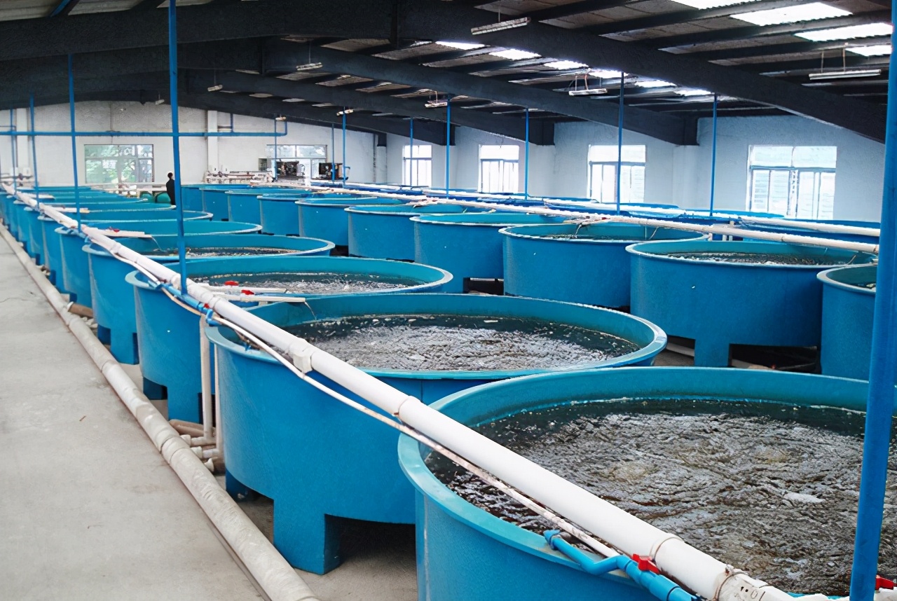 濮阳奇净净化设备有限公司座落于美丽的龙乡濮阳，公司成立于2016年8月，是一家专业从事水空气净化及消毒业务的专业企业，在净化设备设计和生产上有着丰富的经验，特别对于畜牧养殖业净化方面，可以为客户提供专业的解决方案。多年来凭借雄厚的技术实力，好的成熟的产品，完善的服务体系，取得了迅猛的发展。到目前为止，全国20多个省、自治区的客户使用了我们的产品，并得到了相关部门的充分肯定及一致认可。我公司将充分发挥自身优势，秉承“科技创新、服务市场、诚信待人”的宗旨和“产品”就是人品的企业理念，不断进行技术创新、设备创新、服务创新、管理方式创新，来继续研发推出更多满足客户需求的产品，为推动我国畜牧业发展做贡献。