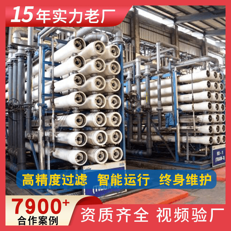 工业反渗透纯净水设备 生活饮用水净水设备 制造业去离子水设备（ 0.5T/H）