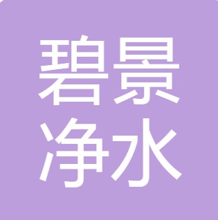 兴县碧景净水设备销售有限公司