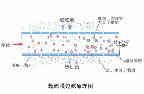 中国净水设备网——长期饮用纯净水有害健康？净水器的误区与科学解答 