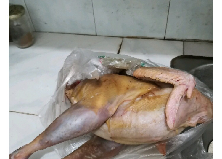 天护禽业，主要养殖跑山鸡~安岳本地送货上门。