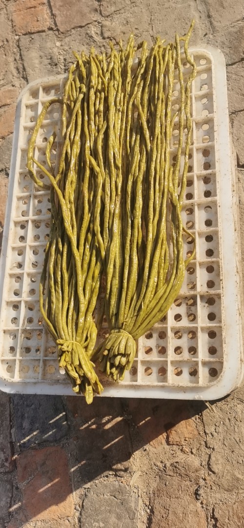 常年岀售各种半成品